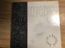 Converge Vinyl Halo in a Haystack