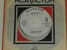 Rare Northern Soul 45 - Sharon Scott - Could it be You RCA 47-8907 Promo