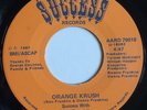 Random Rap 45 Success With Ron Franklin - Orange Kush - Success 1987 -Hear it