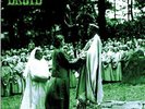 DRUID - Druid - LP (colour) Nasoni