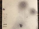 NEW RARE Nine Inch Nails - Bad Witch WHITE Vinyl LP SOLD OUT