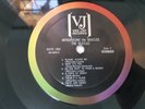Introducing The Beatles SR 1062 STEREO  Vinyl LP- butcher my bonnie