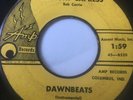RARE ROCKER 45/ DAWNBEATS 