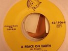 LIQUID GHOST - A PEACE ON EARTH - PLASTIC BAGS - 197? GARAGE ORGAN - MAINE - N/M