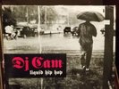 RARE HIP HOP DJ Cam - Liquid Hip Hop LP VG+ 2xLP
