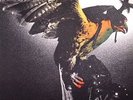 BUDGIE - In For The Kill: 1974 - Vinyl (heavyweight vinyl LP)