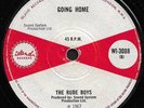 Rare 60's UK Rock Steady 45 - RUDE BOYS (Island)