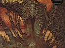 Mortuous - Through Wilderness (Vinyl LP - 2018 - US - Original)