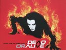 DEAD OR ALIVE FAN THE FLAME PART 1 CLEAR VINYL LP REISSUE FREE P&P