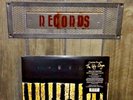 The Ugly Organ Deluxe Edition 180g Vinyl LP. Mama, I'm Swollen. I Am Gemini.
