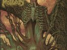 MORTUOUS - Through Wilderness - Vinyl (gatefold LP + MP3 download code)
