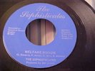 The Sophisticates - Welfare Boogie - RARE Detroit Punk Rock - NM Vinyl