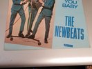 THE NEWBEATS