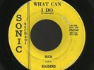 Ohio Garage Rick Derringer McCoys 45   Rick & The Raiders   Sonic   Hear