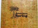 AMERICAN SPRING [ UNITED ARTISTS] UK  RARE