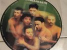 Rammstein Mutter Picture Vinyl