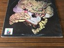BLACK CAT BONES BARBED WIRE SANDWICH  RARE WLP  WHITE LABEL PROMO BLUES PSYCH