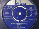 KIKI DEE: 