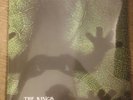THE KINGS OF FROG ISLAND - IV  (VINYL) COLOUR HAZE, CAUSA SUI, SUNGRAZER