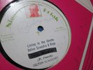 Delton Screechie & Ringo Living In The Ghetto Reggae 12