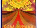 Savoy Brown ?– Raw Sienna 3 3/4 ips Near Mint 4 track reel to reel tape