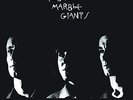 YOUNG MARBLE GIANTS-COLOSSAL YOUTH  (US IMPORT)  VINYL LP NEW