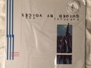 Guided By Voices - Bee Thousand CLEAR Repress RARE Scat Records Leftover