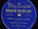 BLUES - FRANKIE LEE SIMS 