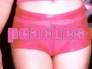 The Teaches Of Peaches von Peaches (2002), Vinyl