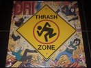 D.R.I. Thrash Zone LP, Album Made in U.S.A
