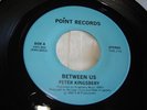 Peter Kingsbery (Cock Robin) rare private 45 from 1980 Between Us / No Way Out