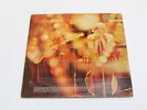 Steam Hammer - Reflection LP (first press)