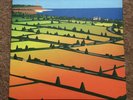Lemon Jelly - Lost Horizons VINYL LP