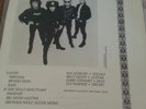 The Cult Kashmir LP