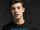 Handwritten LP Shawn Mendes Blue Vinyl 2015 Island Records New