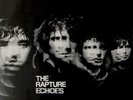 THE RAPTURE - Echoes LP Vinyl Excellent Condition 2003