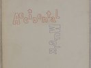 THE DECAYES: Accidental Music IMGRAT 2400 002 Experimental Holy Grail LP NM- Wax