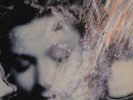 Malaria  ?– Emotion   LP   VG+++