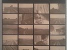 Swell Maps  