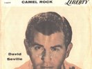 DAVID SEVILLE--PICTURE SLEEVE + 45--(GOTTA GET TO YOUR HOUSE/CAMEL ROCK)--PS-PIC
