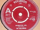 RARE 45 UK 60s GARAGE DEMO Brown-eyed Girl  - THE GOLLIWOGS Creedence Clearwater