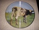 PINK FLOYD - ATOM HEART MOTHER - PICTURE DISC LP VINYL - RARO
