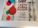 THE RAIN DROPS