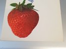 ROCKIN' BERRIES