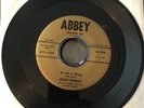 RICKY ROBINS “If I'm A Fool / Baby What You...” Rockabilly/Teen ABBEY 111 NM-