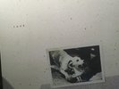 FLEETWOOD MAC Tusk Deluxe Edition Box Set 5x CD 2x 180gm Vinyl LP MISPRESS RARE