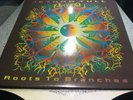 Jethro Tull  Roots To Branches  2 LP  UK  Rare