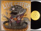 Catfish Hodge  Live Catfish    Blues Rock