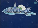 Sharks First Water NEAR MINT Island Records Vinyl LP