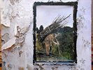 Led Zeppelin IV (Four Symbols) Vinyl LP - Gatefold - K 50008 - 1971 EX++